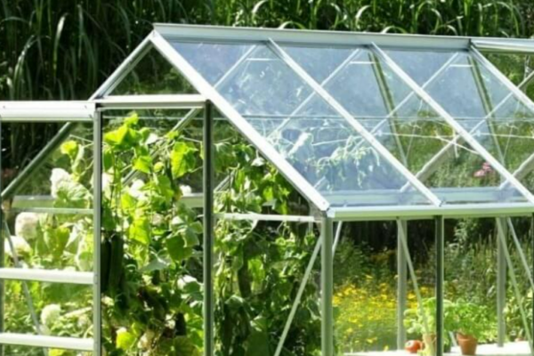 Як обрати товщину полікарбонату для теплиці